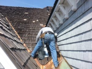 squirrel control davidson nc denver nc mooresville nc 1024x768