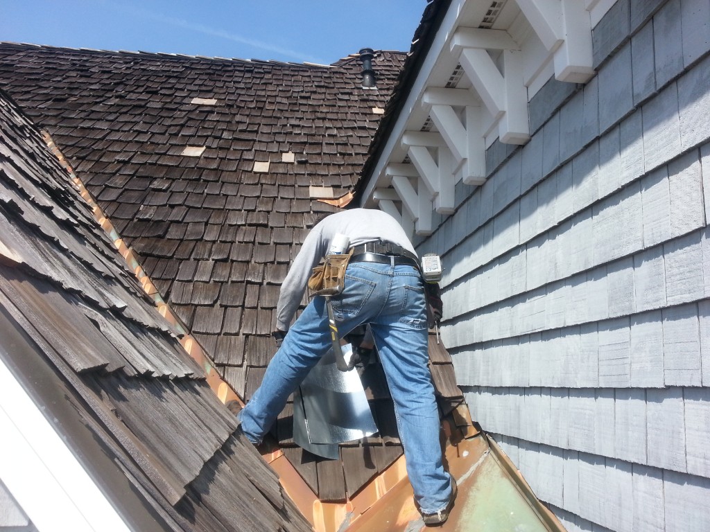 squirrel control davidson nc denver nc mooresville nc 1024x768