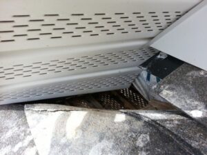 albemarle nc squirrel removal 620x465