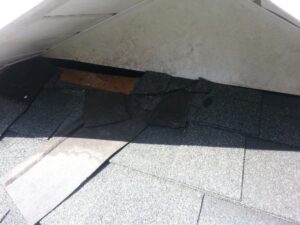 kannapolis nc squirrel removal 620x465