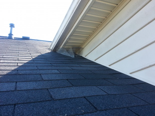 mooresville nc squirrel removal 620x465