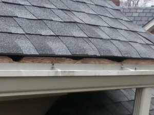 pineville nc squirrel removal 620x465