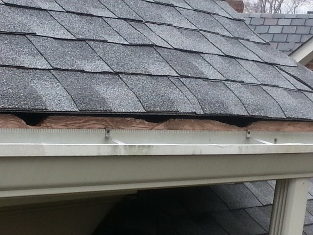 pineville nc squirrel removal 620x465