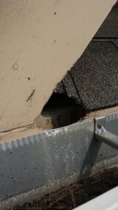 wpid 20130813 092422 168x300